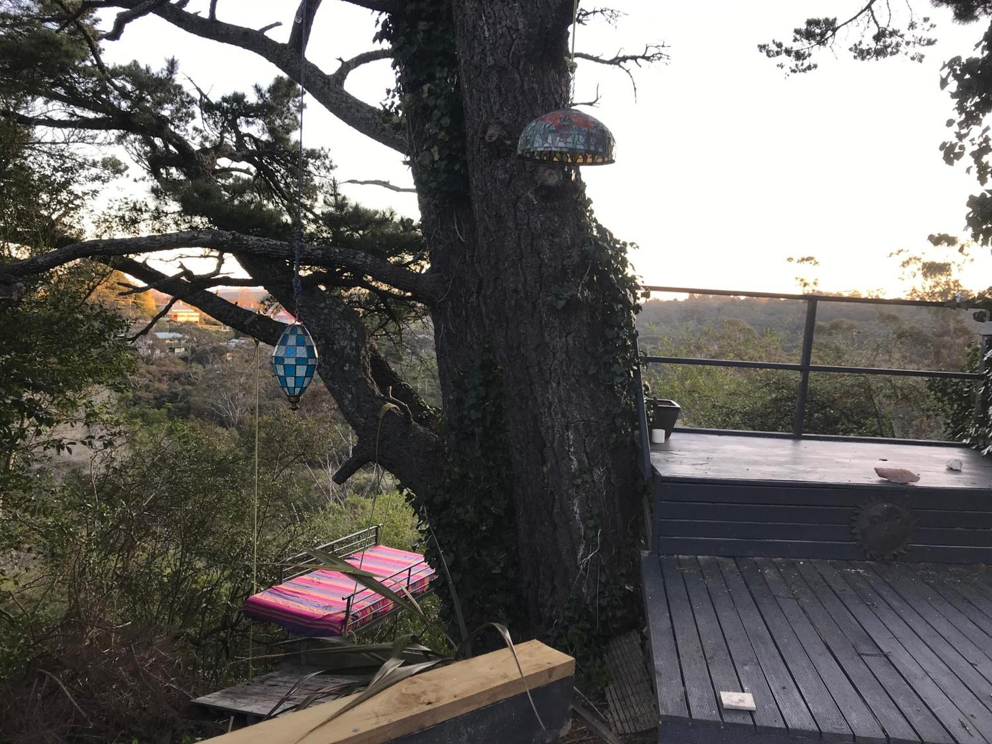 카툼바 Flying Fox Backpackers 호스텔 외부 사진