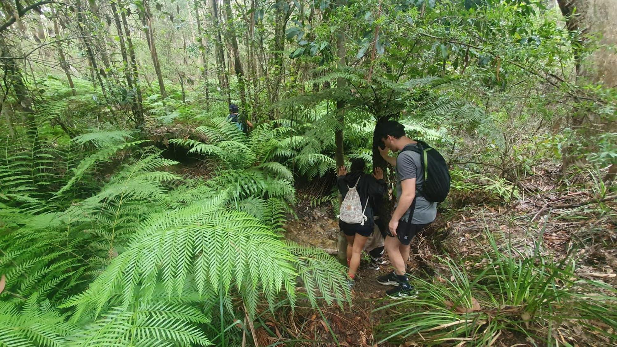 카툼바 Flying Fox Backpackers 호스텔 외부 사진